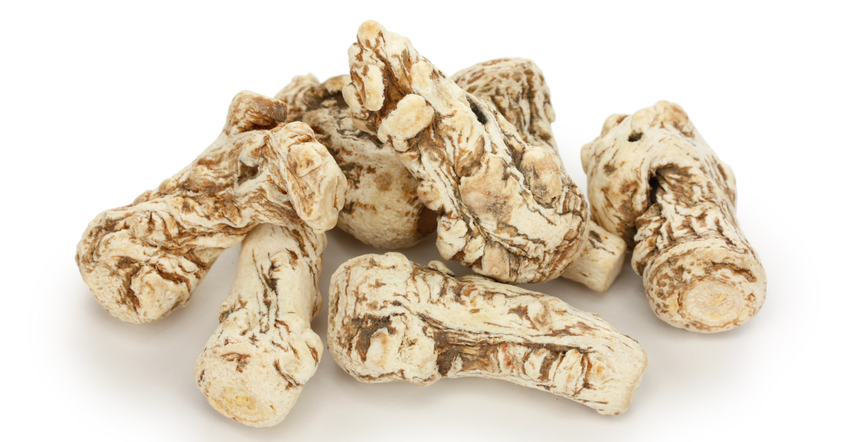 Explore 10 Amazing Benefits of Dong Quai Root for Health