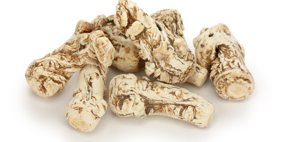 Benefits of DongQuai Root as a Herbal Supplement — Solstice Medicine