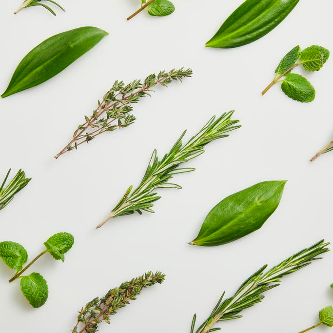 Best Herbs to Fight Cancer